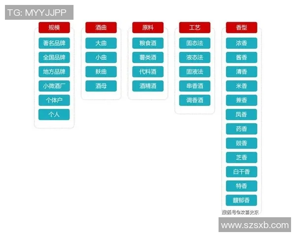 足球的历史演变与技术发展全景解析及其对全球文化的影响